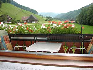 vacation apartment house Ebner Muenstertal black forest germany